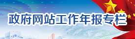 政府网站年度报告专栏