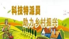 乡村振兴科技特派员在行动